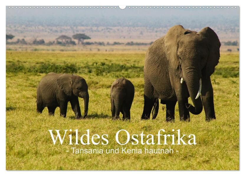 Wildes Ostafrika - Tansania und Kenia hautnah (Wandkalender 2026 DIN A2 quer), CALVENDO Monatskalend