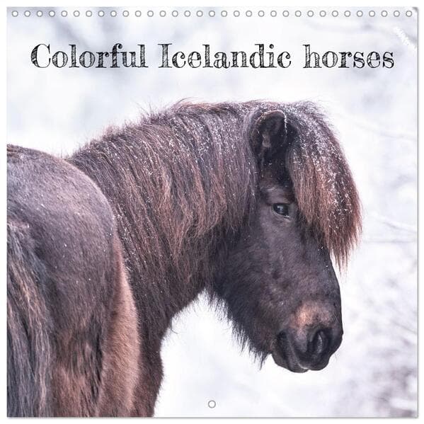 Colorful Icelandic horses (Wall Calendar 2026 12 × 12 Inch) CALVENDO 12 Month Wall Calendar