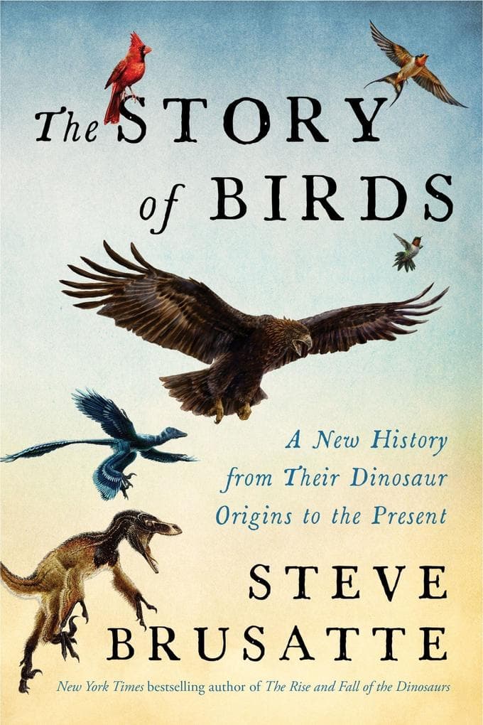 The Story of Birds