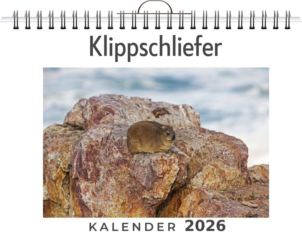 Klippschliefer