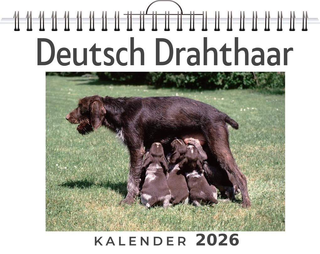 Deutsch Drahthaar