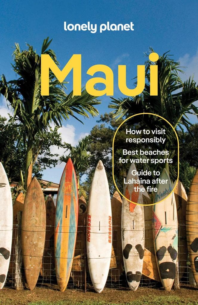 Lonely Planet Maui