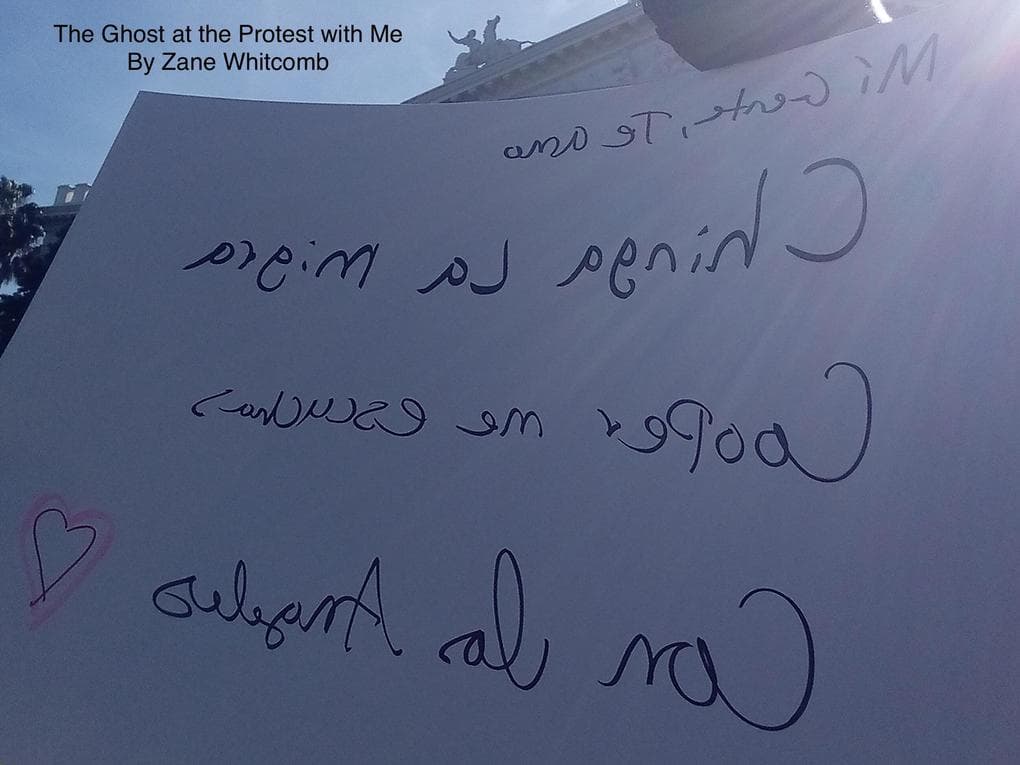 The Ghost at the Protest with Me (My Story, #4)