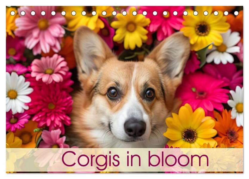 Corgis in Bloom (Desk Calendar 2026 DIN A5 landscape), CALVENDO 12 Month DeskCalendar