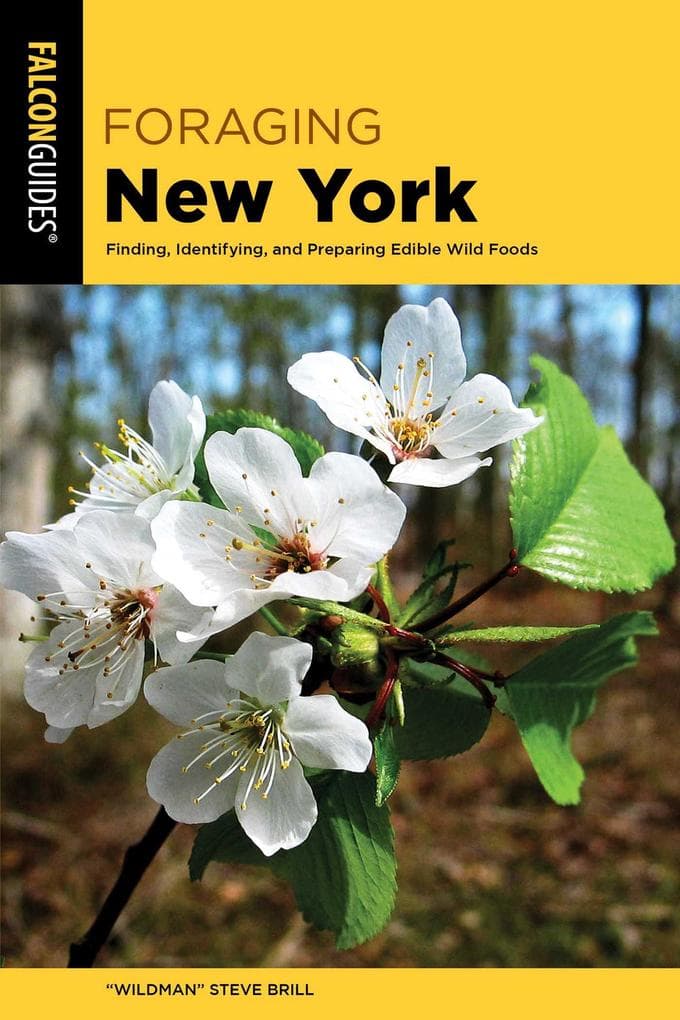 Foraging New York
