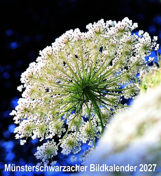Münsterschwarzacher Bildkalender 2027