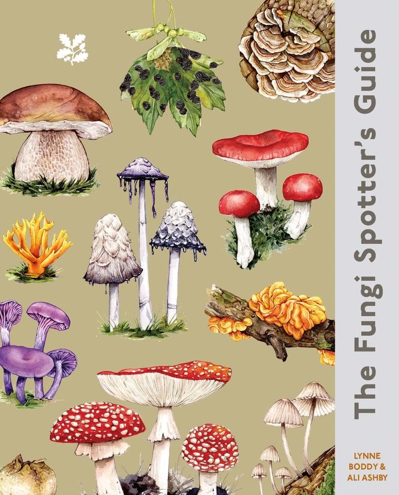 The Fungi Spotter's Guide