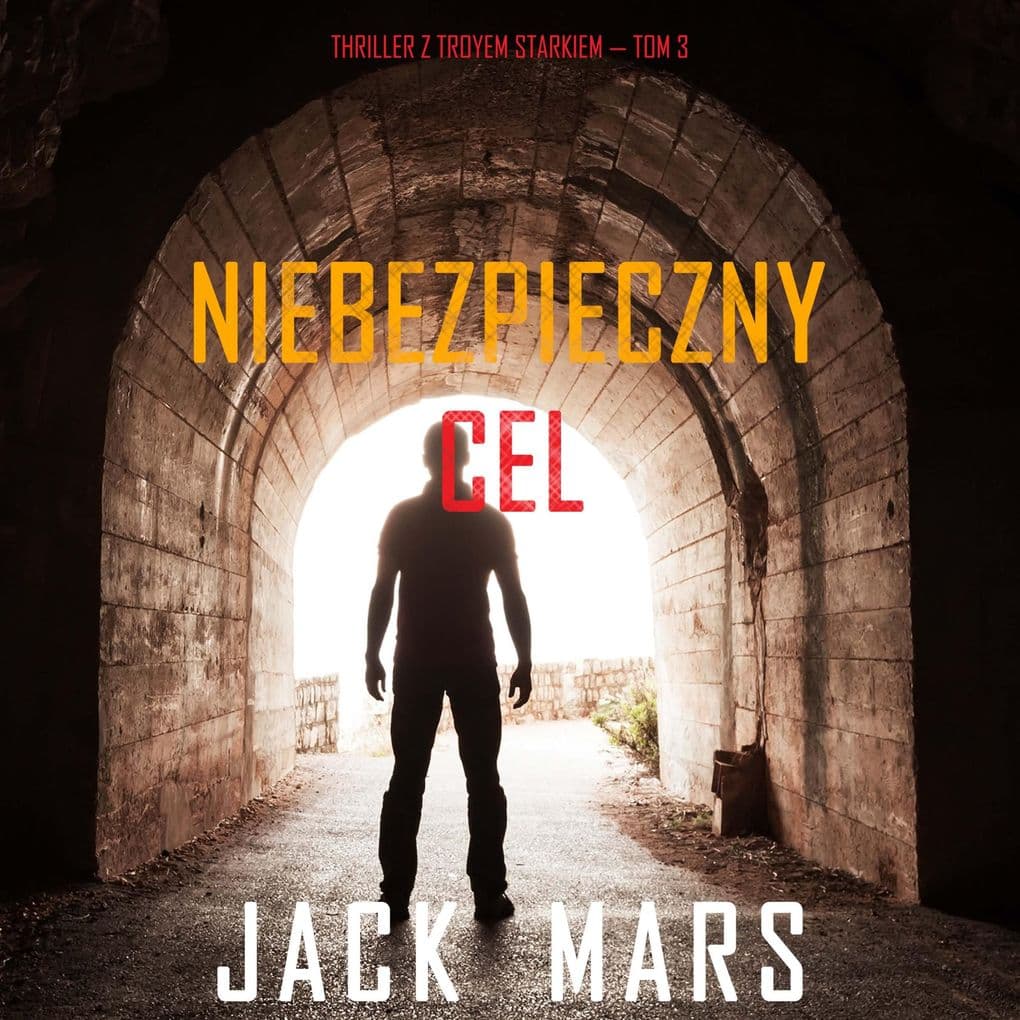Niebezpieczny cel (Thriller z Troyem Starkiem Tom 3)