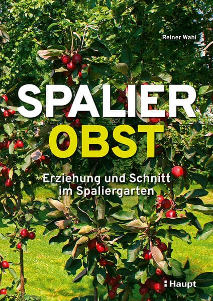 Spalierobst