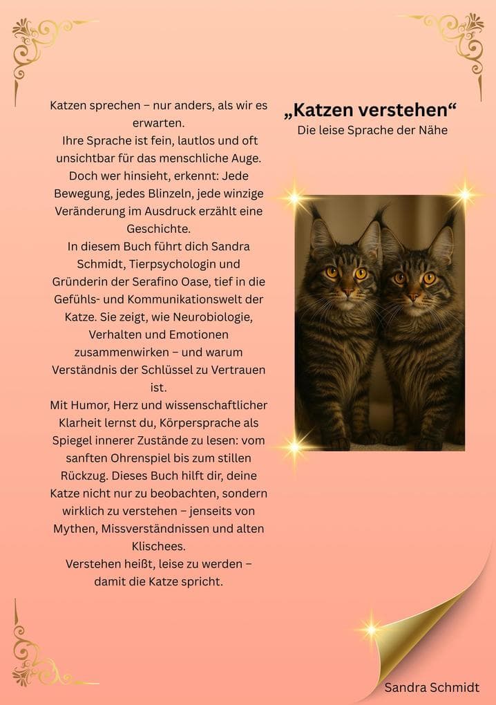 Katzen verstehen