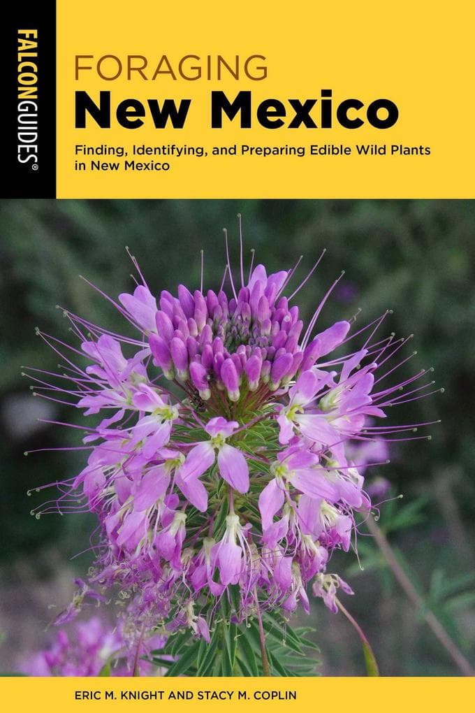 Foraging New Mexico