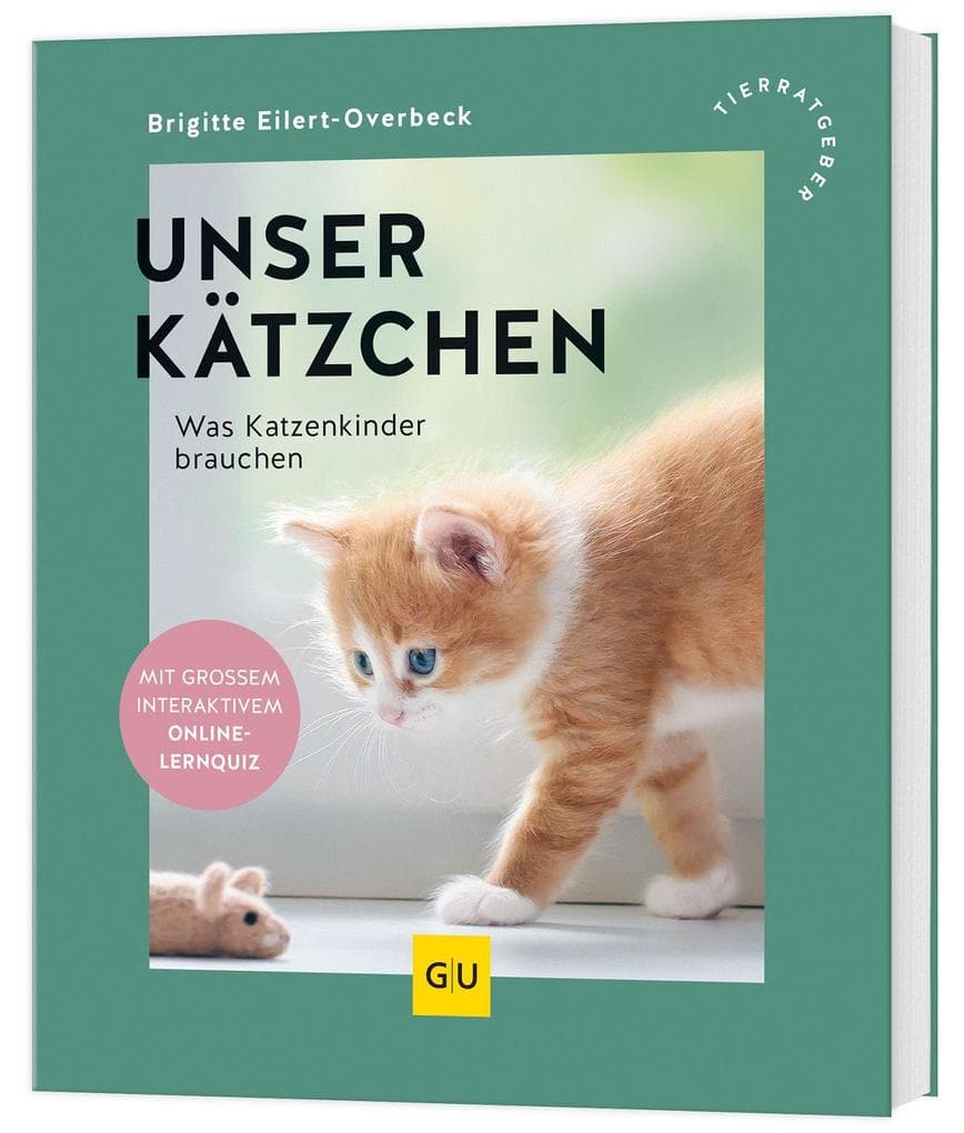 Unser Kätzchen