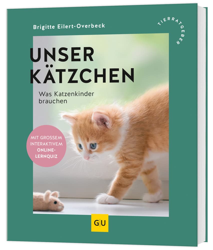 Unser Kätzchen