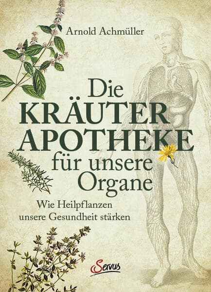 Die Kräuter-Apotheke für unsere Organe