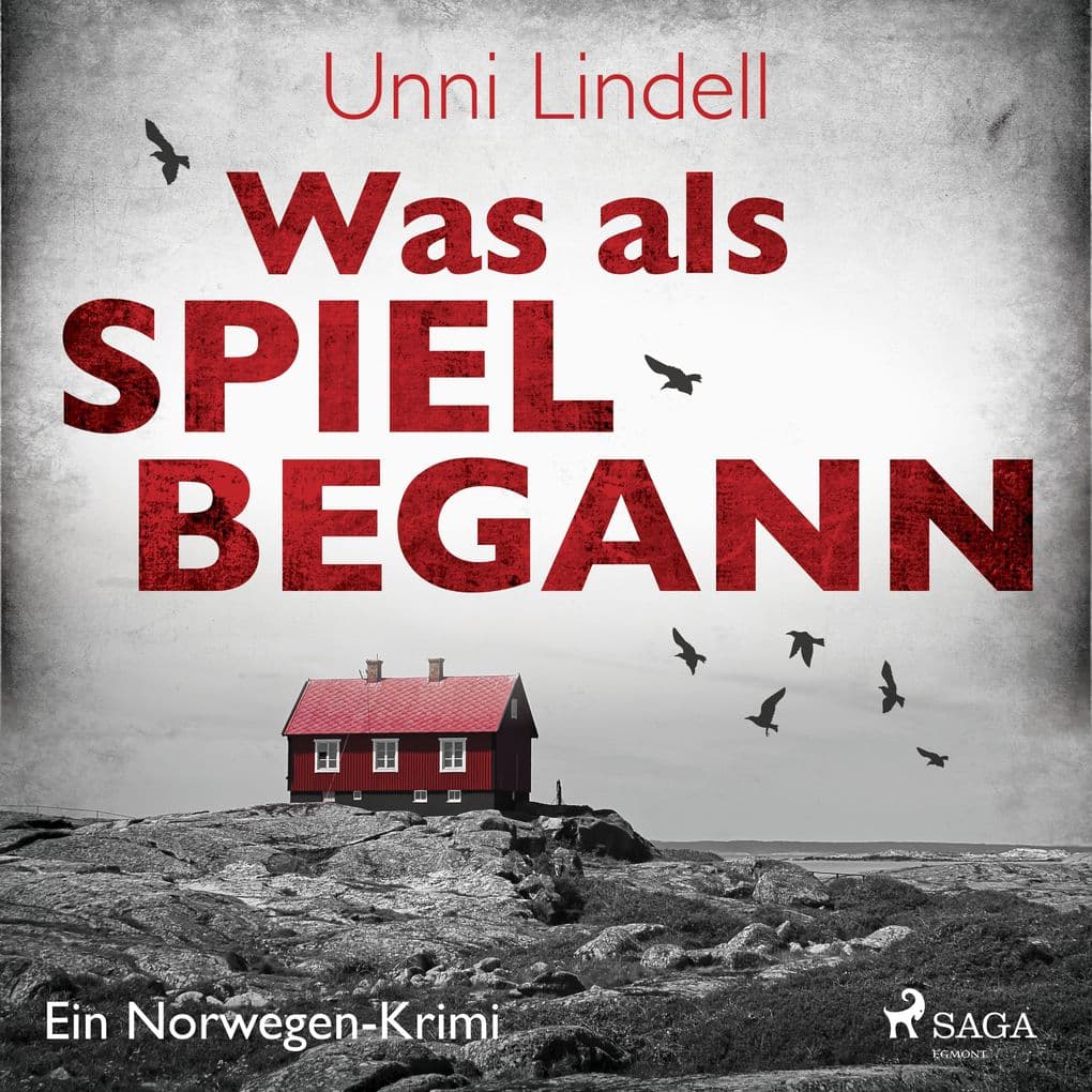 Was als Spiel begann - Ein Norwegen-Krimi