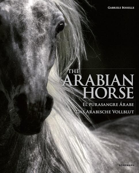 Arabian Horses