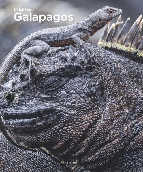 Galapagos Islands