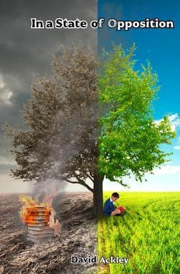 In a State of Opposition