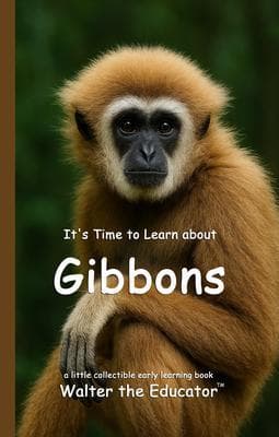 It's Time to Learn about Gibbons