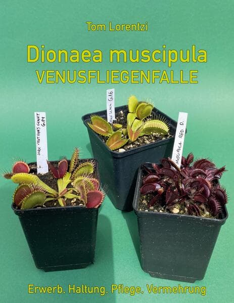 Dionaea muscipula