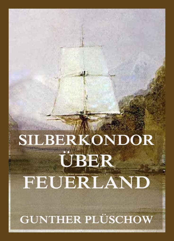 Silberkondor über Feuerland