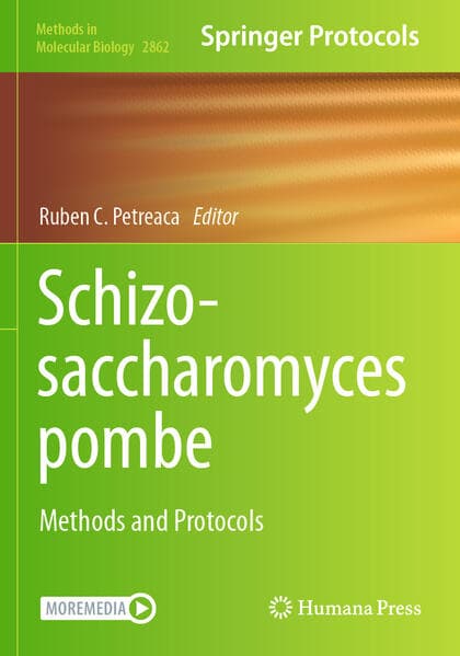 Schizosaccharomyces pombe