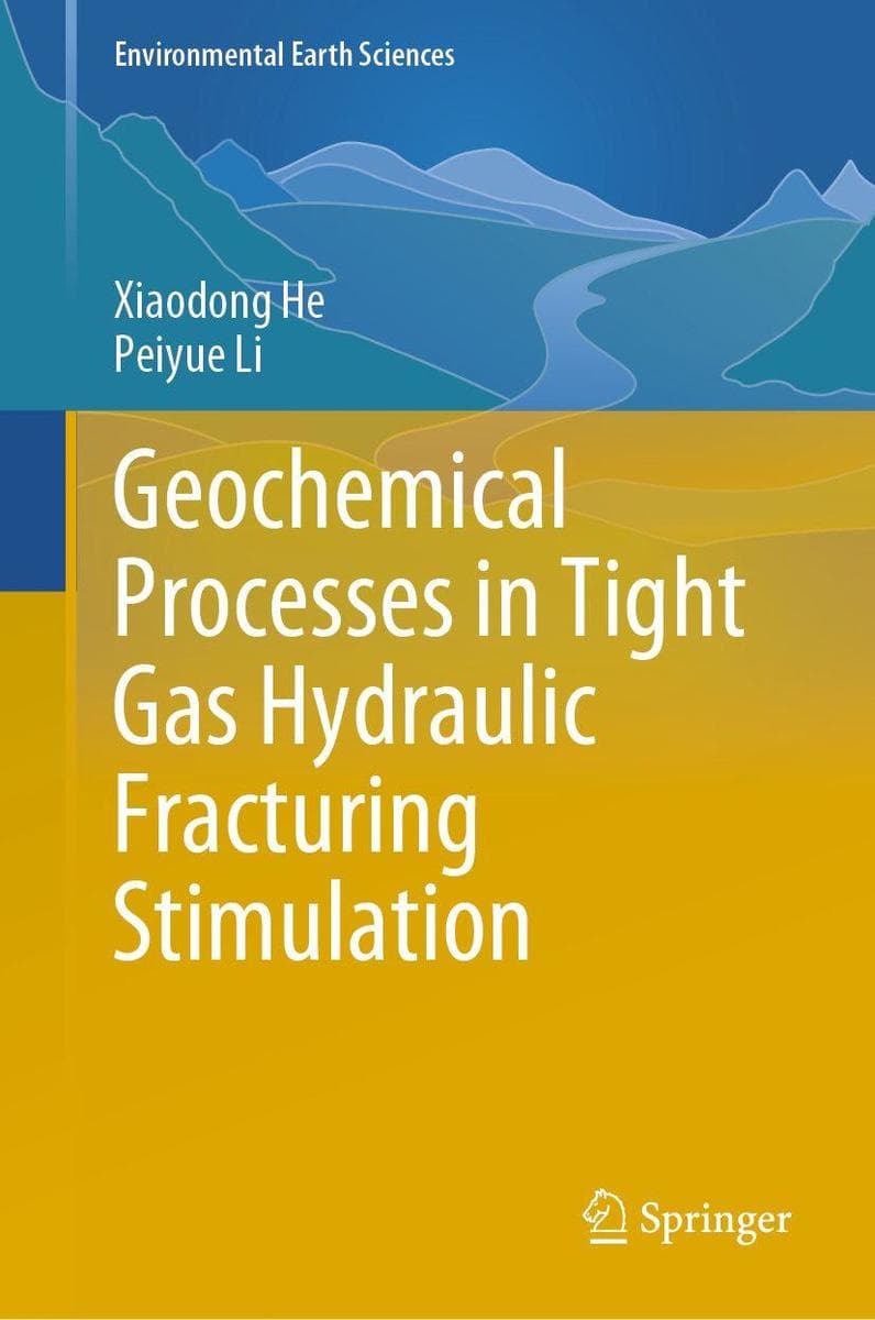 Geochemical Processes in Tight Gas Hydraulic Fracturing Stimulation