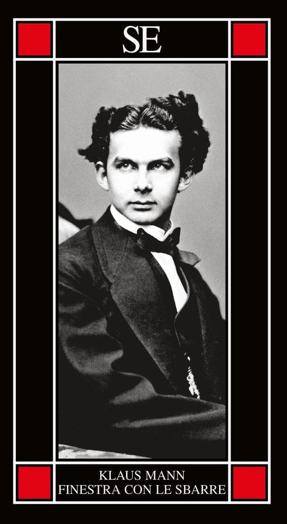 Finestra con le sbarre