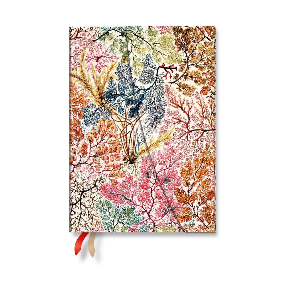 2027 Anemone MIDI Vertical Hardcover 12-Month Weekly Planner, 160pg, 100gsm by Paperblanks (William Kilburn)