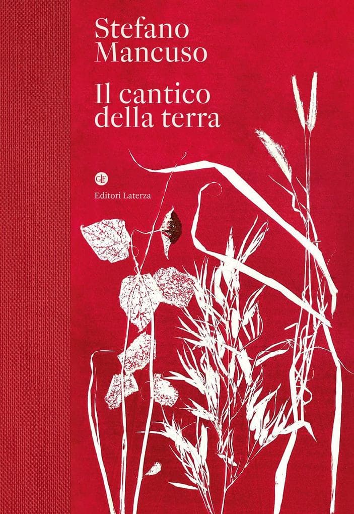 Il cantico della terra
