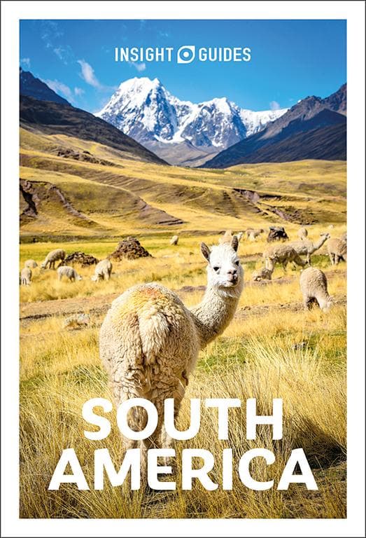 Insight Guides South America: Travel Guide eBook