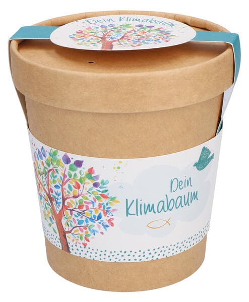 Klimabaum Anzuchtset. Biologisch abbaubarer Pflanzbecher mit Birken-Saatgut, Quelltablette und Anlei