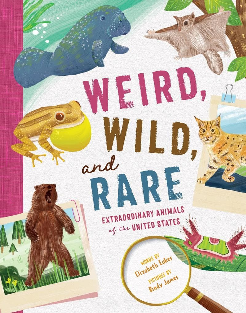 Weird, Wild, and Rare