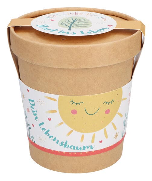 Klimabaum Anzuchtset