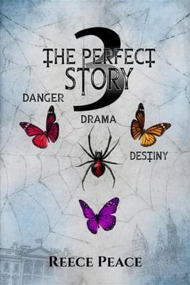 The Perfect Story 3