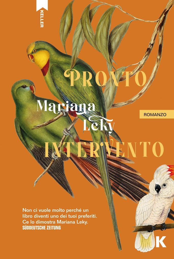 Pronto intervento