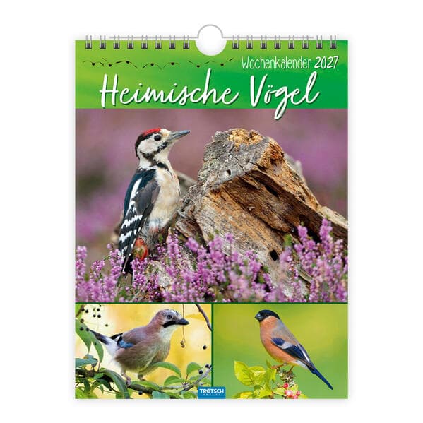 TRÖTSCH - Wochenkalender zum Hängen Heimische Vögel 2027