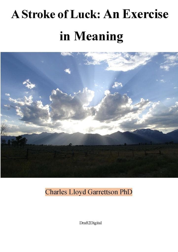 A Stroke of Luck: An Exercise in Meaning