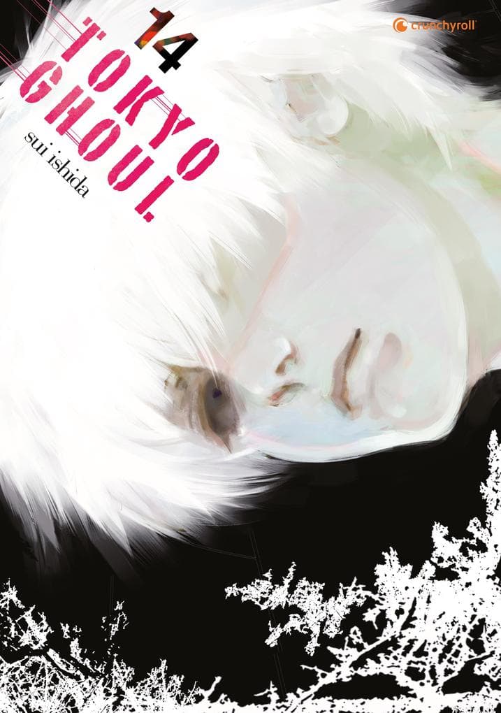 Tokyo Ghoul - Band 14 (Finale)