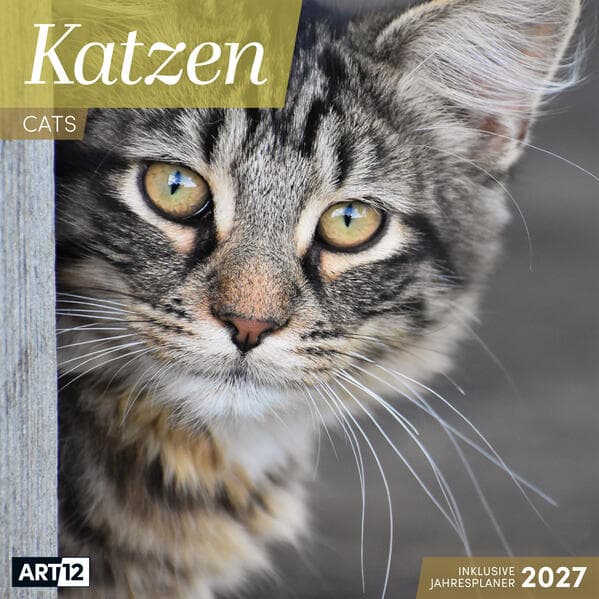 Katzen Kalender 2027 - 30x30 - Art12