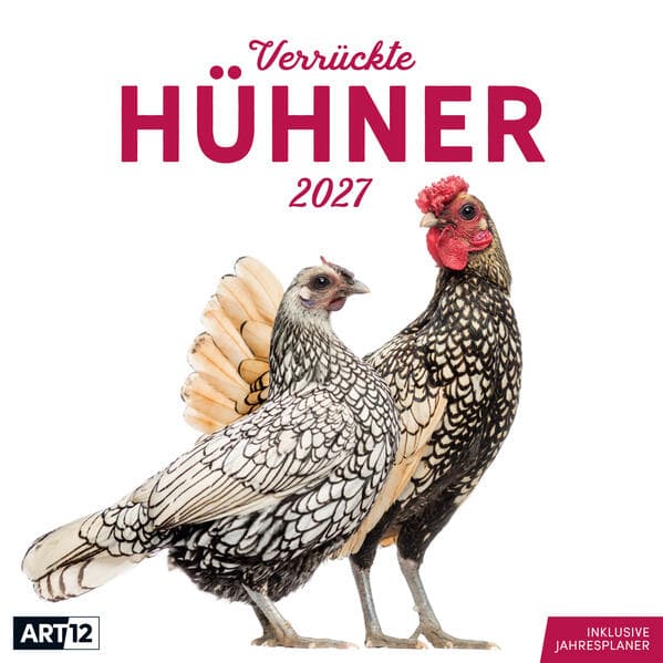 Verrückte Hühner Kalender 2027 - 30x30 - Art12