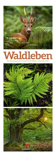 Waldleben Triplet-Kalender 2027 | Spaziergang durch heimische Wälder