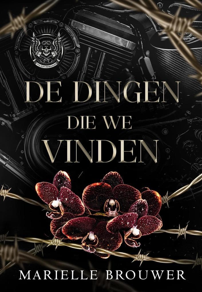 De dingen die we vinden (Renegades, #4)