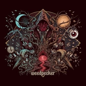 V (LTD. Magenta Vinyl)