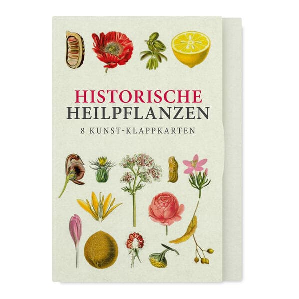 Historische Heilpflanzen - Acht Kunst-Klappkarten