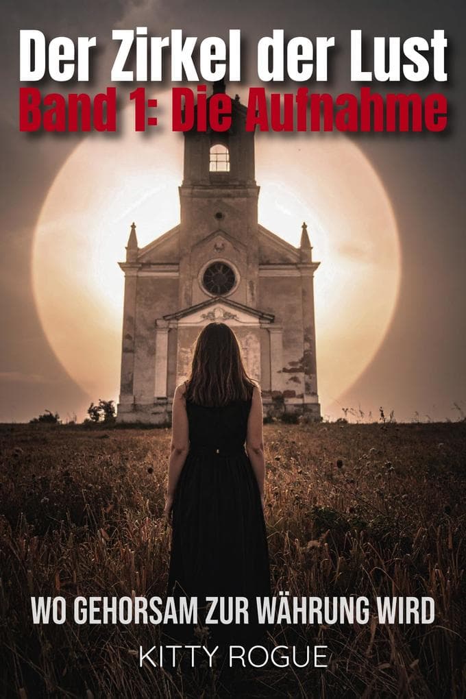 Der Zirkel der Lust - Band 1: Die Aufnahme