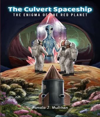 The Culvert Spaceship