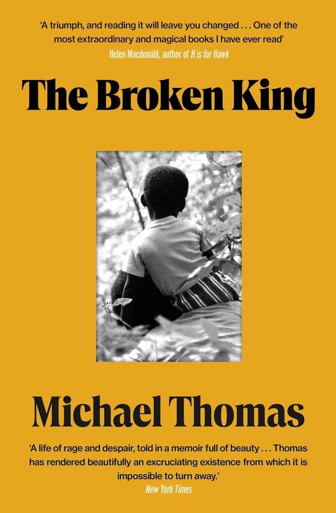 The Broken King