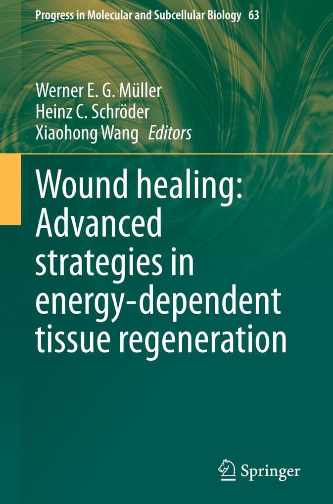 Wound healing: Advanced strategies in energy-dependent tissue regeneration