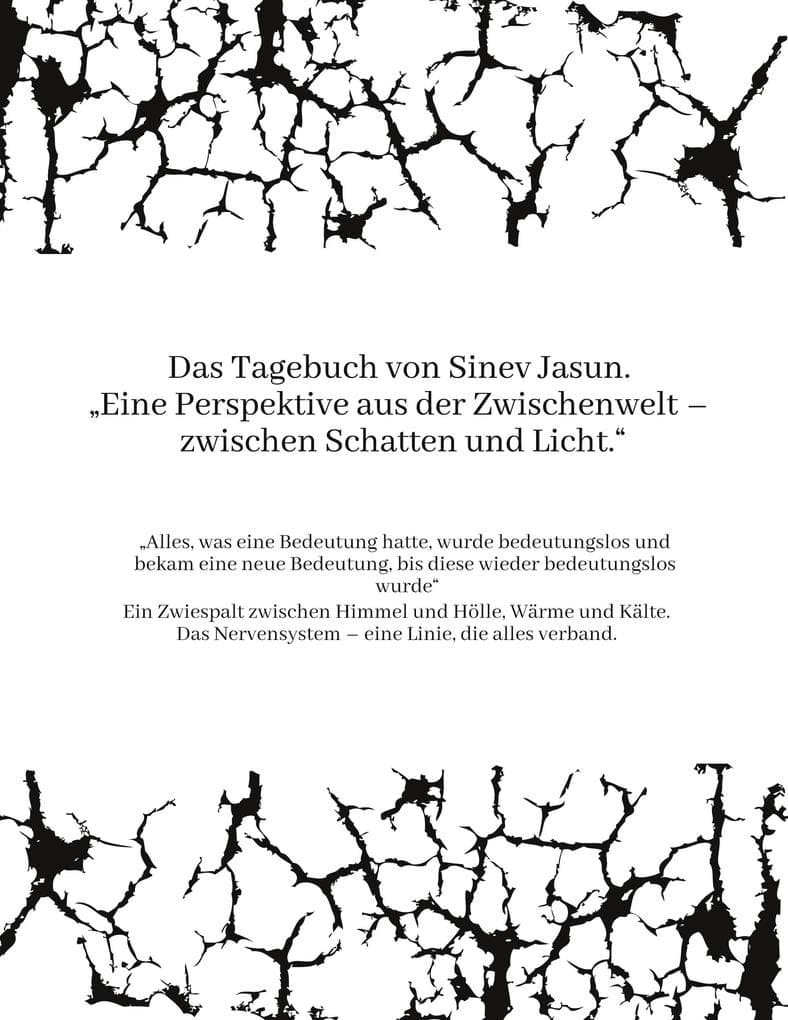 Das Tagebuch von Sinev Jasun. "Eine Perspektive aus der Zwischenwelt - zwischen Schatten und Licht."